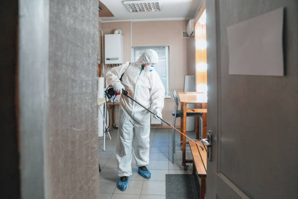 Mold Remediation for Vacation Homes in Blair, NE