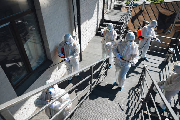 Best Mold Odor Removal Services  in Blair, NE