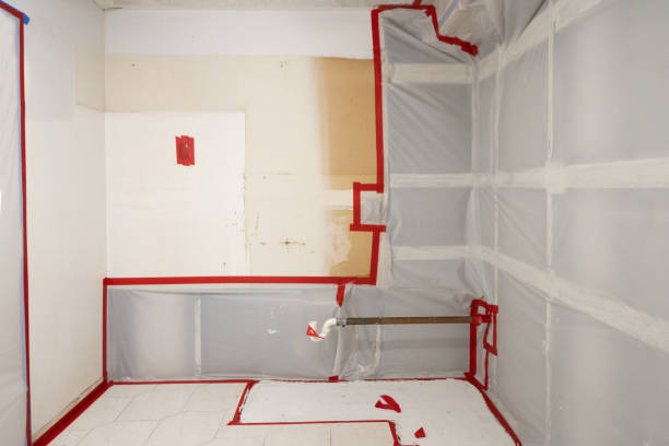Best Mold Prevention Services  in Blair, NE