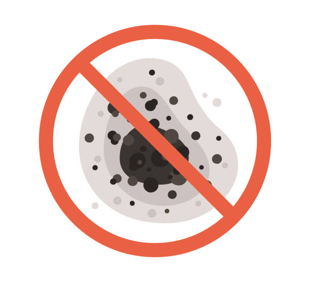 Best Residential Mold Inspection & Testing  in Blair, NE